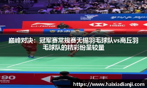 巅峰对决:冠军赛常规赛无锡羽毛球队vs商丘羽毛球队的精彩纷呈较量